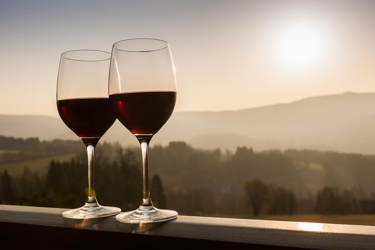 Aneta Hotel & Restaurant Vítkovice Dış mekan fotoğraf