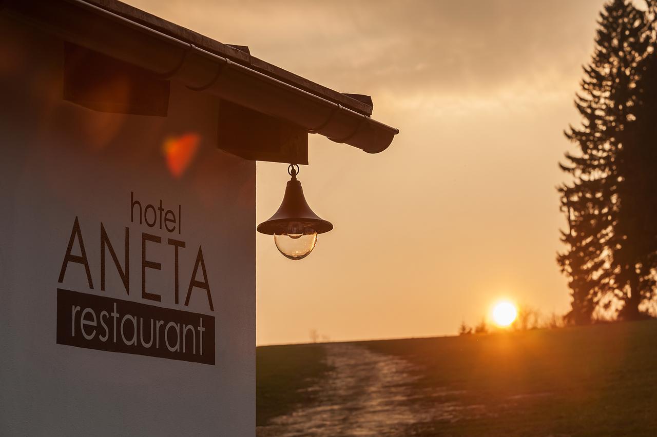Aneta Hotel & Restaurant Vítkovice Dış mekan fotoğraf